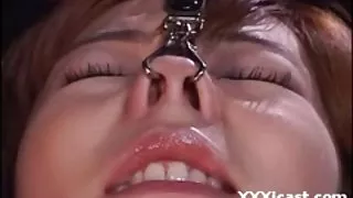 在貓和屁股色情熱的性交美女
