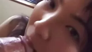 熱貓POV性別編譯